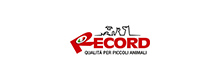 RECORD